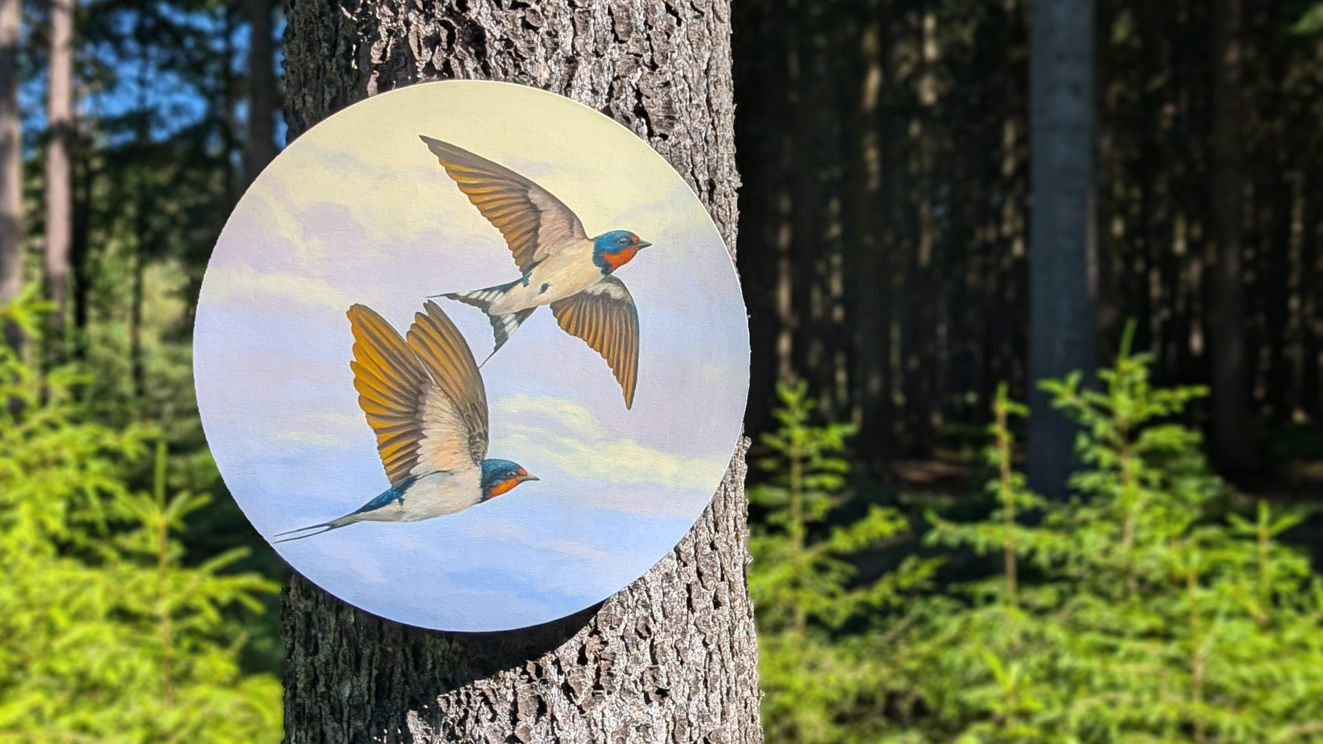 Featherlight von Anika Reiher — Raumansicht